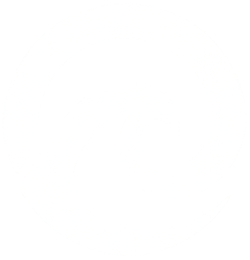 ShotOnData Logo